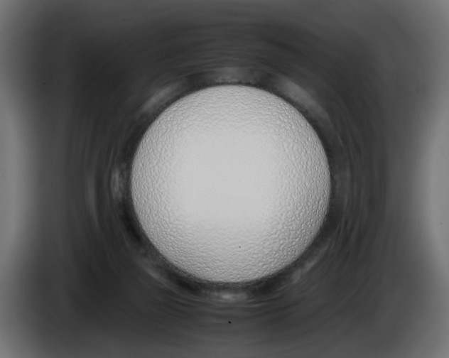 X0000083010165200703021948