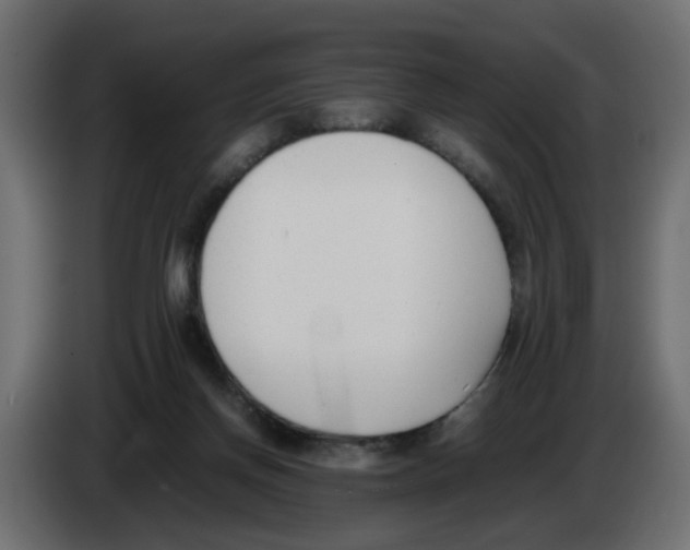 X0000083010166200703021948