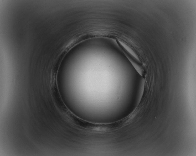 X0000083010168200703021948