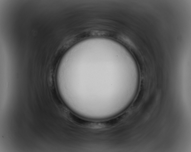 X0000083010169200703021948