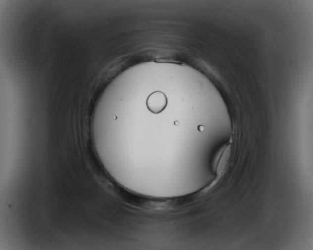 X0000083010170200703021948