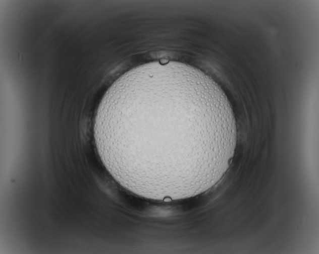 X0000083010171200703021948