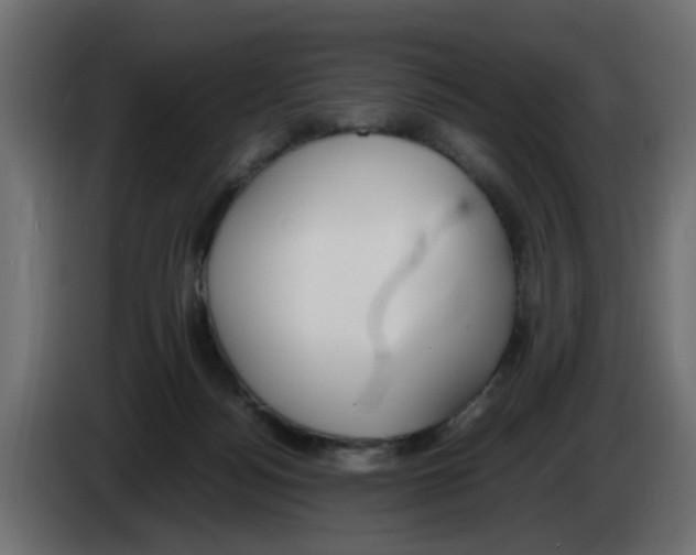 X0000083010172200703021948