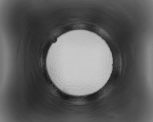 X0000083010173200703021948