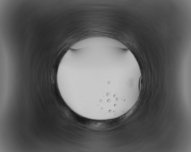 X0000083010174200703021948