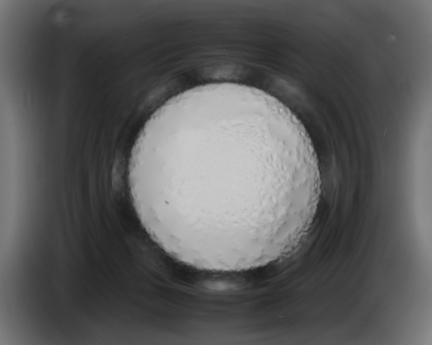 X0000083010175200703021948