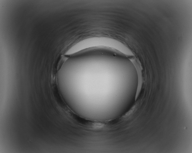 X0000083010176200703021948