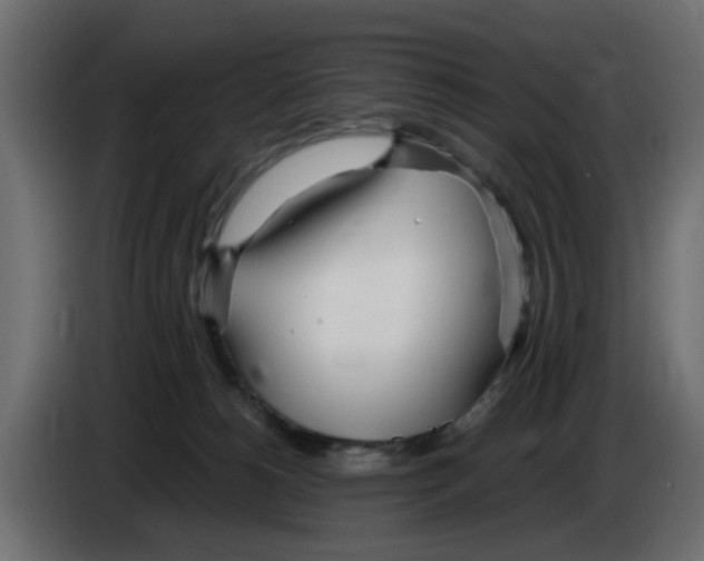 X0000083010180200703021948