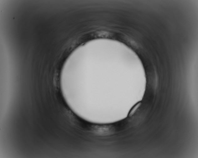 X0000083010181200703021948