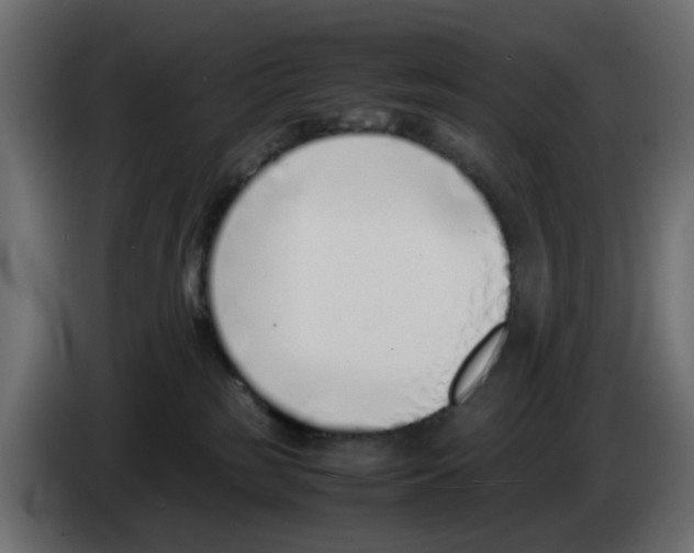 X0000083010185200703021948