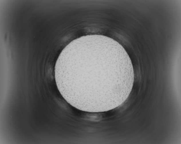 X0000083010187200703021949