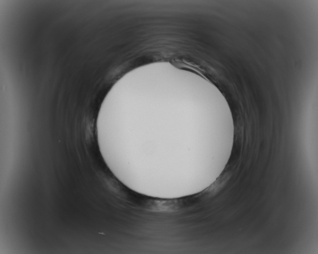 X0000083010188200703021949