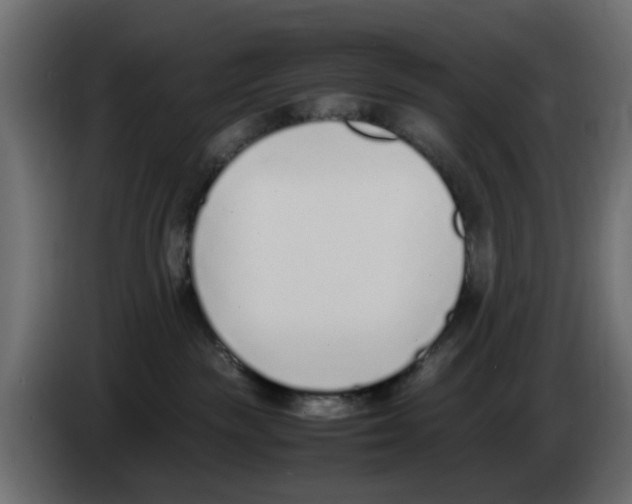 X0000083010189200703021949