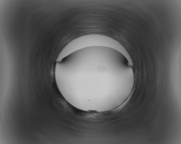 X0000083010190200703021949