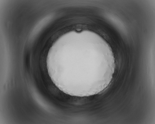 X0000083010191200703021949