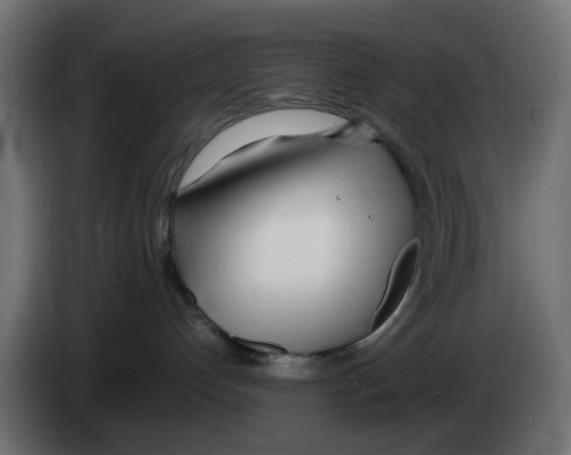 X0000083010192200703021949