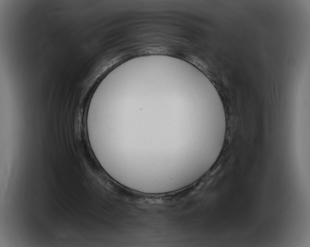 X0000083010194200703021948