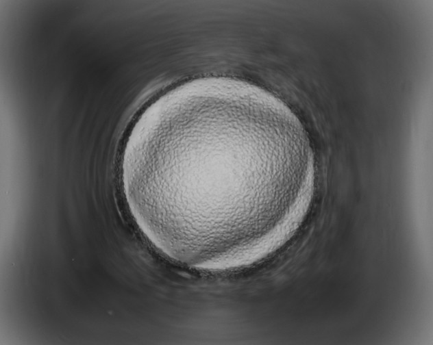 X0000083010195200703021948