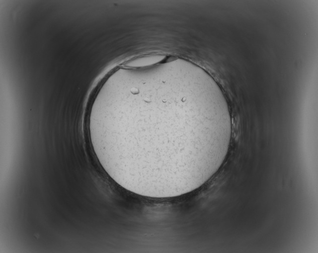 X0000083010196200703021948