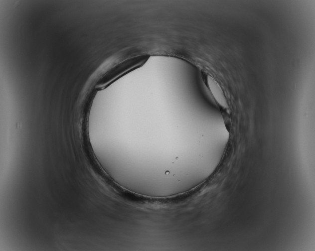 X0000083010197200703021948