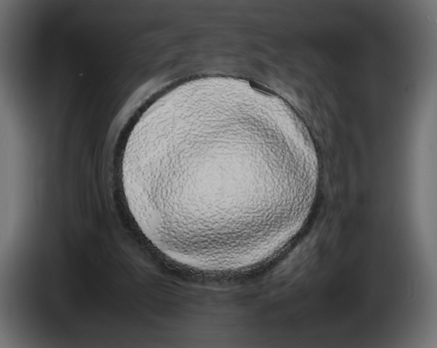 X0000083010199200703021948