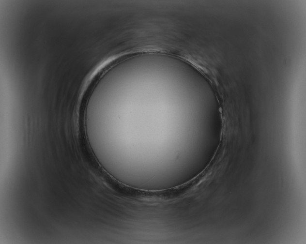 X0000083010200200703021948