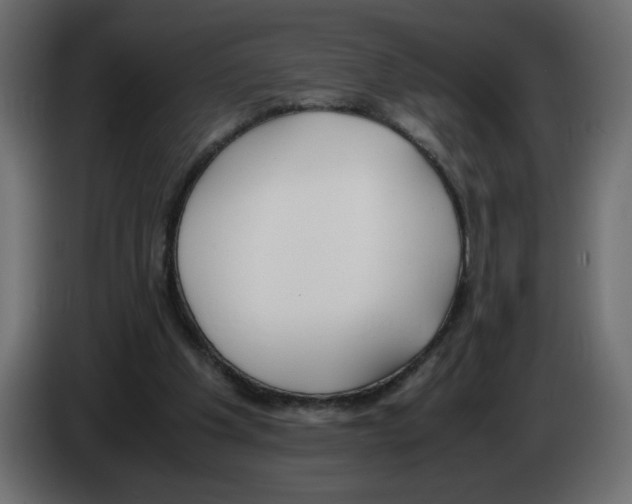 X0000083010201200703021948