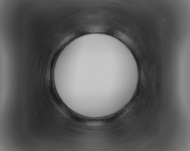 X0000083010202200703021948