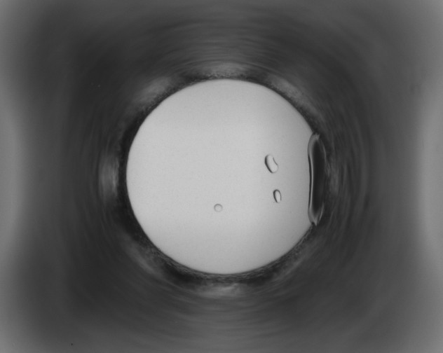 X0000083010206200703021948