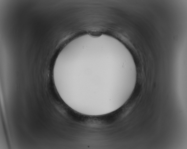 X0000083010207200703021948