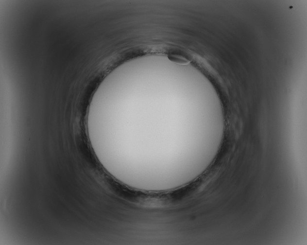 X0000083010209200703021948