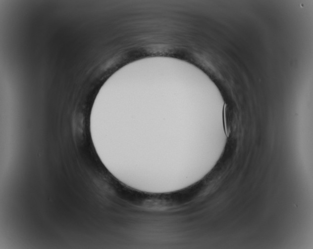 X0000083010211200703021948