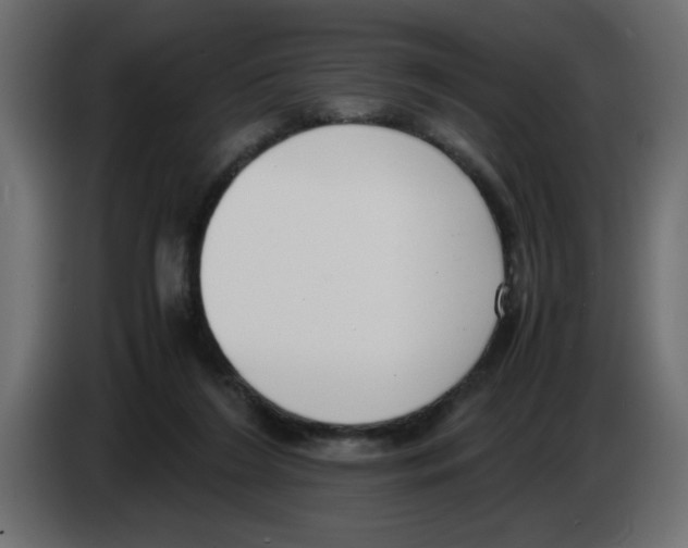 X0000083010212200703021948