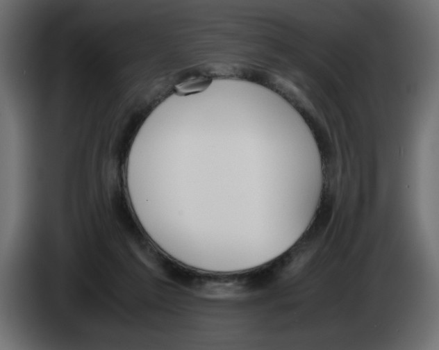 X0000083010213200703021948