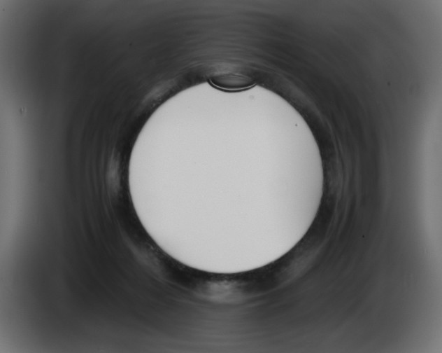 X0000083010216200703021948