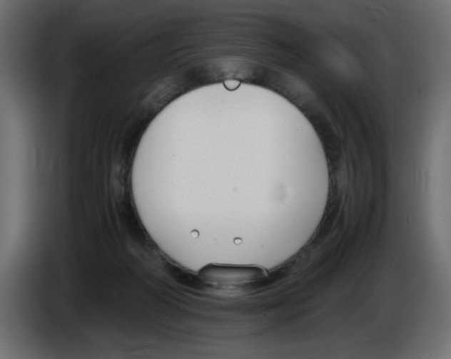 X0000083010218200703021948