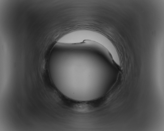 X0000083010219200703021948