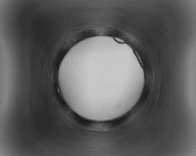 X0000083010221200703021948