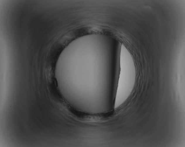 X0000083010223200703021947