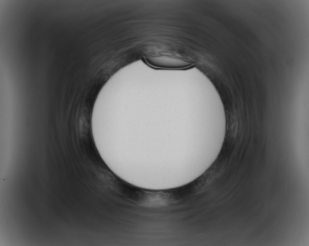 X0000083010226200703021947