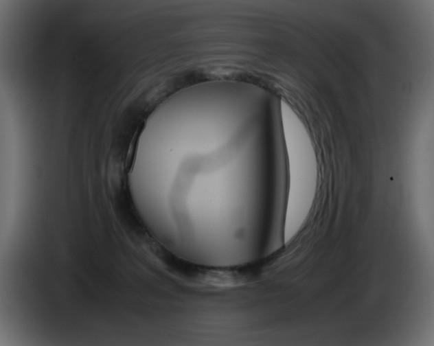 X0000083010227200703021947