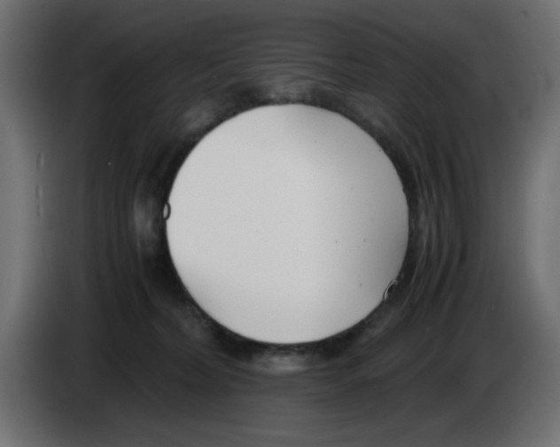 X0000083010228200703021947