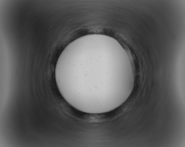 X0000083010229200703021947