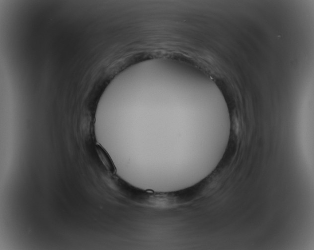 X0000083010231200703021947