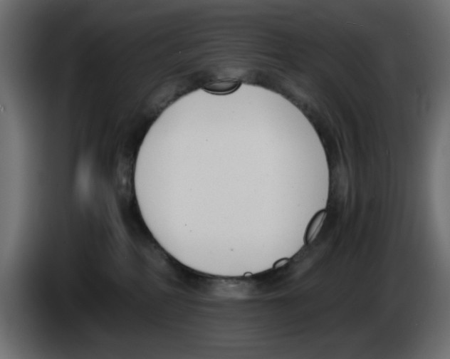 X0000083010234200703021947