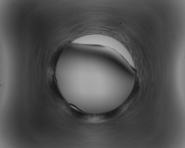 X0000083010235200703021947