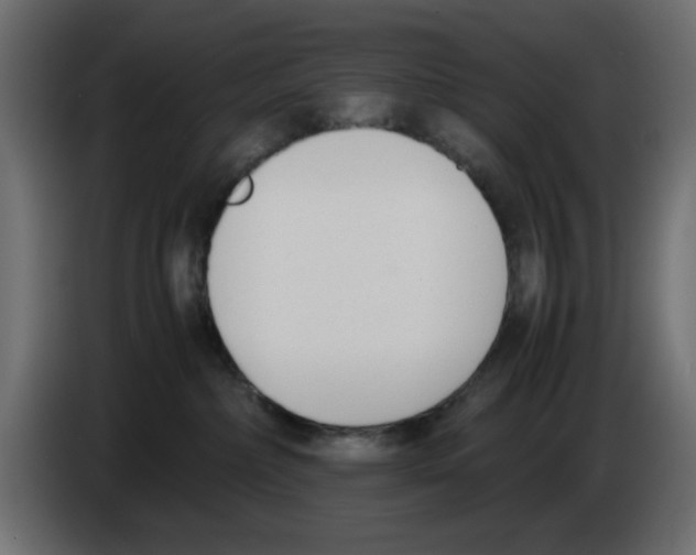 X0000083010236200703021947