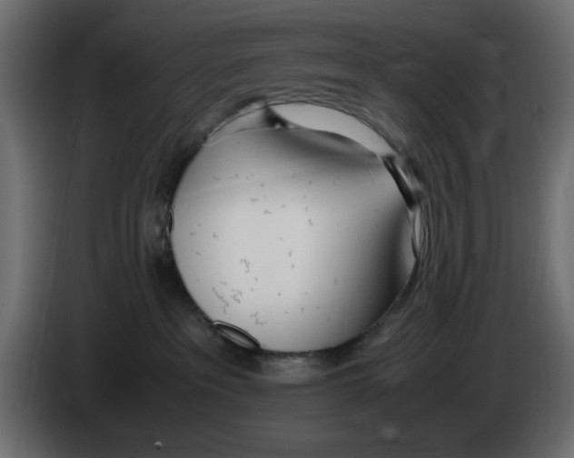 X0000083010237200703021947