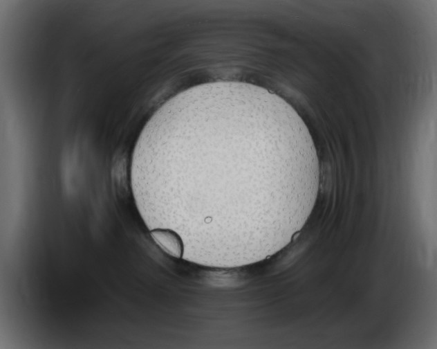 X0000083010238200703021947