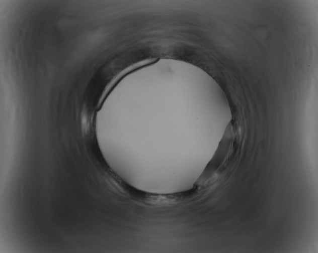 X0000083010239200703021947